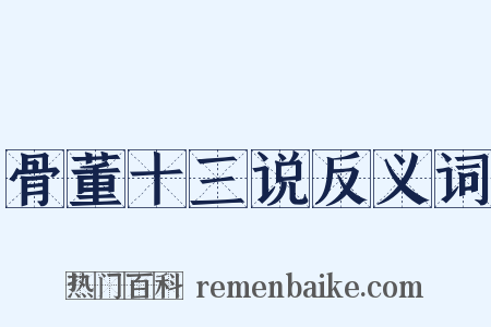 骨董十三说反义词是什么意思的图片